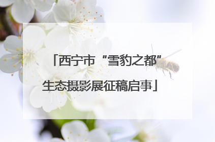 西宁市“雪豹之都”生态摄影展征稿启事