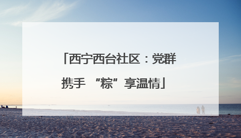 西宁西台社区：党群携手 “粽”享温情