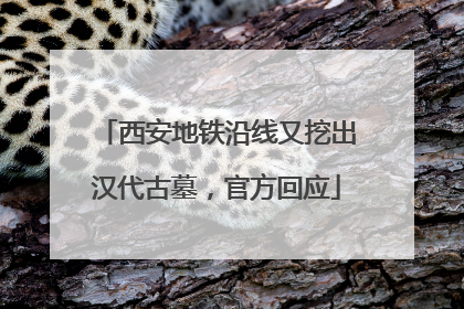 西安地铁沿线又挖出汉代古墓，官方回应