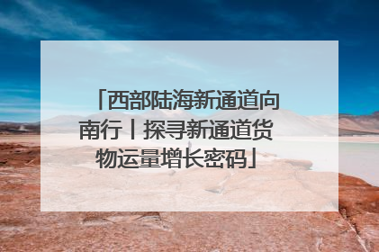 西部陆海新通道向南行丨探寻新通道货物运量增长密码