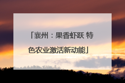 襄州：果香虾跃 特色农业激活新动能