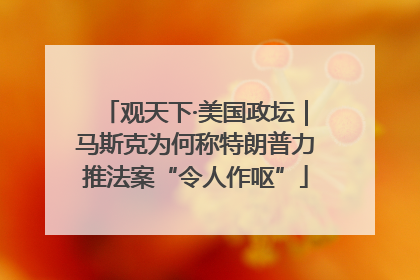 观天下·美国政坛｜马斯克为何称特朗普力推法案“令人作呕”