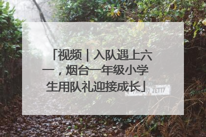 视频｜入队遇上六一，烟台一年级小学生用队礼迎接成长