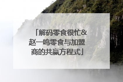 解码零食很忙&赵一鸣零食与加盟商的共赢方程式