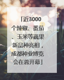 近3000个辣椒、番茄、玉米等蔬果新品种亮相，成都种业博览会在蓉开幕