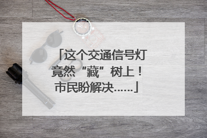 这个交通信号灯竟然“藏”树上！市民盼解决……