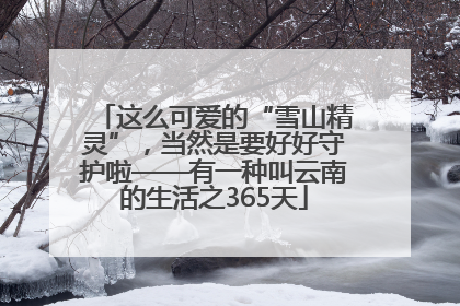 这么可爱的“雪山精灵”，当然是要好好守护啦——有一种叫云南的生活之365天