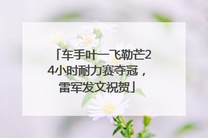 车手叶一飞勒芒24小时耐力赛夺冠，雷军发文祝贺