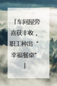 车间屋旁喜获丰收，职工种出“幸福餐桌”