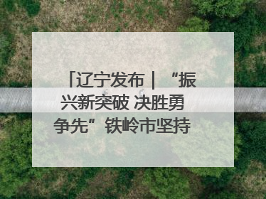 辽宁发布｜“振兴新突破 决胜勇争先”铁岭市坚持“项目为王”推进经济高质量发展