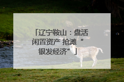 辽宁鞍山：盘活闲置资产 抢滩“银发经济”