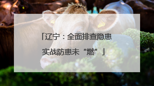 辽宁：全面排查隐患 实战防患未“燃”