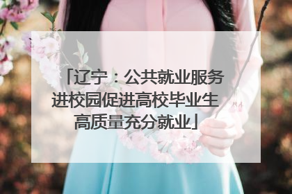 辽宁：公共就业服务进校园促进高校毕业生高质量充分就业