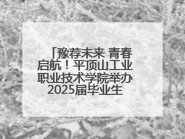 豫荐未来 青春启航！平顶山工业职业技术学院举办2025届毕业生夏季招聘会