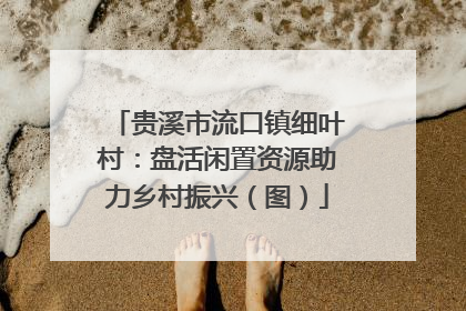 贵溪市流口镇细叶村：盘活闲置资源助力乡村振兴（图）