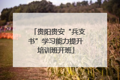 贵阳贵安“兵支书”学习能力提升培训班开班