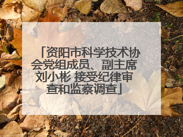 资阳市科学技术协会党组成员、副主席刘小彬 接受纪律审查和监察调查