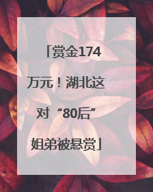 赏金174万元！湖北这对“80后”姐弟被悬赏