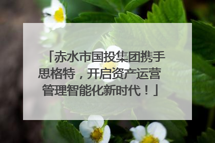 赤水市国投集团携手思格特，开启资产运营管理智能化新时代！