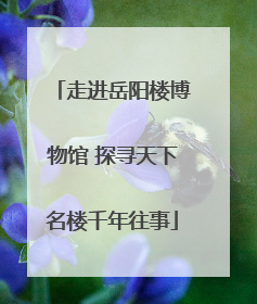 走进岳阳楼博物馆 探寻天下名楼千年往事