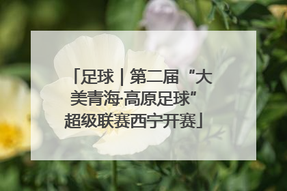 足球｜第二届“大美青海·高原足球”超级联赛西宁开赛