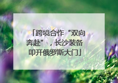 跨境合作“双向奔赴”，长沙装备叩开俄罗斯大门