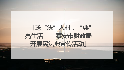 送“法”入村，“典”亮生活——泰安市财政局开展民法典宣传活动