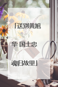 送别黄旭华 国士忠魂归故里