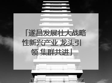 遂昌发展壮大战略性新兴产业 龙头引领 集群共进