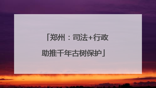 郑州：司法+行政助推千年古树保护