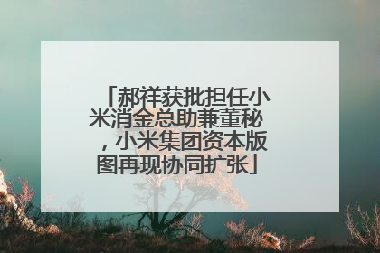 郝祥获批担任小米消金总助兼董秘，小米集团资本版图再现协同扩张