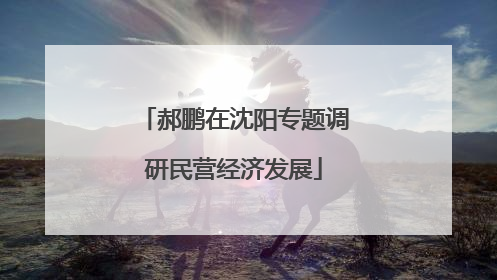 郝鹏在沈阳专题调研民营经济发展