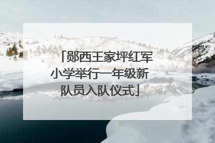 郧西王家坪红军小学举行一年级新队员入队仪式