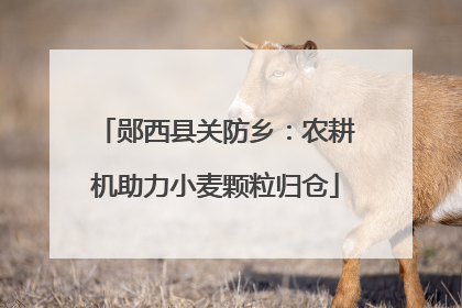 郧西县关防乡：农耕机助力小麦颗粒归仓