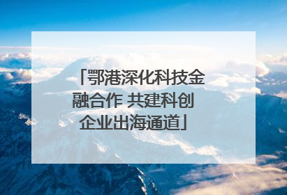 鄂港深化科技金融合作 共建科创企业出海通道