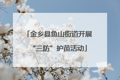 金乡县鱼山街道开展“三防”护苗活动