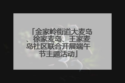 金家岭街道大麦岛、徐家麦岛、王家麦岛社区联合开展端午节主题活动