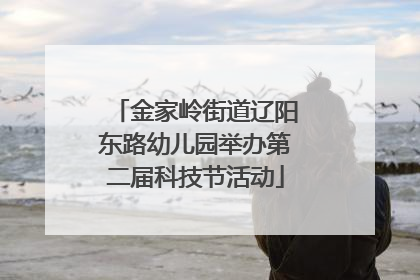 金家岭街道辽阳东路幼儿园举办第二届科技节活动