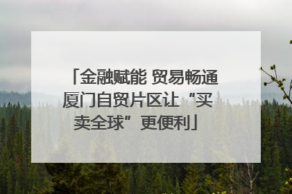 金融赋能 贸易畅通 厦门自贸片区让“买卖全球”更便利