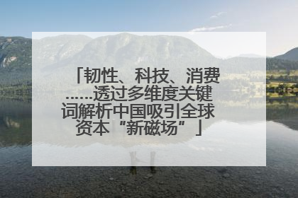 韧性、科技、消费……透过多维度关键词解析中国吸引全球资本“新磁场”