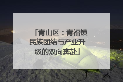 青山区：青福镇民族团结与产业升级的双向奔赴