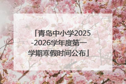 青岛中小学2025-2026学年度第一学期寒假时间公布