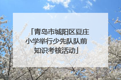 青岛市城阳区夏庄小学举行少先队队前知识考核活动