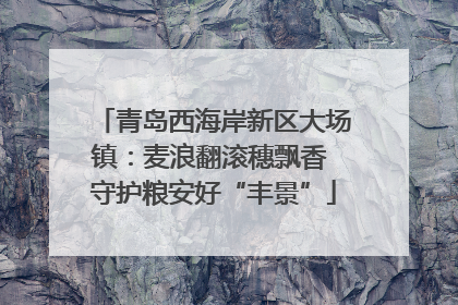 青岛西海岸新区大场镇：麦浪翻滚穗飘香 守护粮安好“丰景”