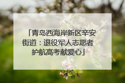 青岛西海岸新区辛安街道：退役军人志愿者护航高考献爱心