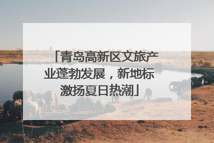 青岛高新区文旅产业蓬勃发展，新地标激扬夏日热潮
