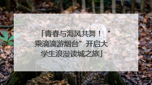 青春与海风共舞！“乘滴滴游烟台”开启大学生浪漫读城之旅