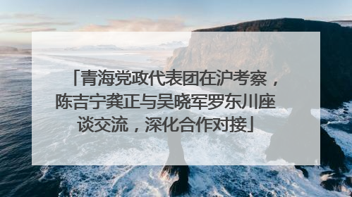 青海党政代表团在沪考察，陈吉宁龚正与吴晓军罗东川座谈交流，深化合作对接