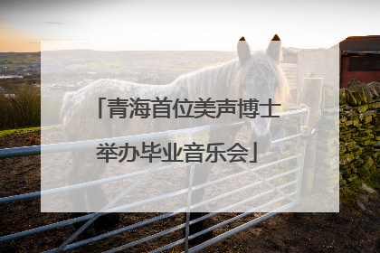 青海首位美声博士举办毕业音乐会