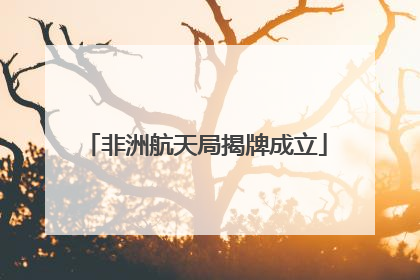 非洲航天局揭牌成立